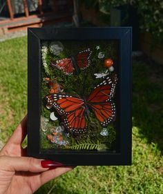 a person holding up a framed photo with butterflies on it