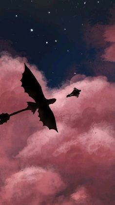 two bats flying in the sky with pink clouds