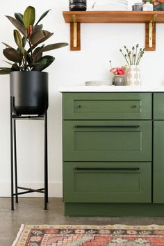 an instagram with a green cabinet and potted plant on the counter next to it