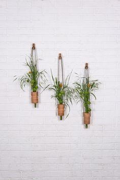 three hanging planters with plants in them against a white brick wall