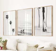 three black and white pictures hang on the wall above a couch