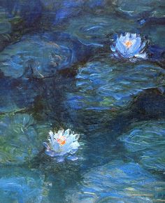 two water lilies floating on top of a body of water with blue sky in the background