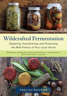 wildcrafted fermentation exploring, transforming and presenting the wild flavors of your local territory