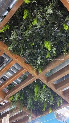 the inside of a building with green plants growing on the ceiling and wooden slats