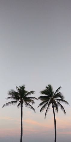 two palm trees on the beach at sunset