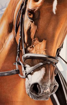 a painting of a brown horse with bridles on