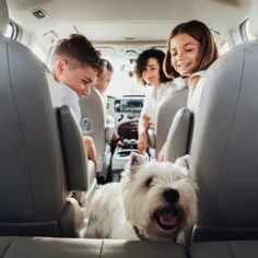 two children and a dog in the back seat of a car