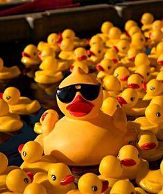 many rubber ducks with sunglasses on them in the water