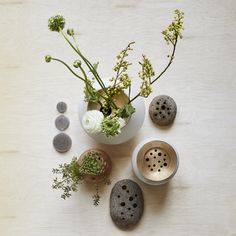 some rocks and flowers are sitting on a table