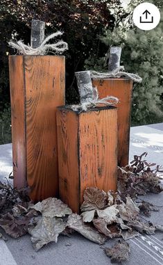 three wooden vases sitting on top of a table covered in leaves and twigs,