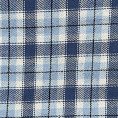 a blue and white checkered shirting fabric