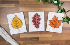 three autumn leaves are displayed on white cards