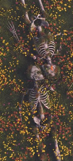 an aerial view of two skeletons in a field of flowers