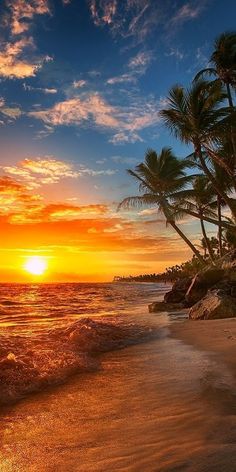 the sun is setting over the ocean with palm trees in the foreground and waves crashing on the shore