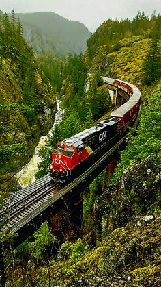 a train traveling over a bridge in the middle of a lush green forest covered hillside