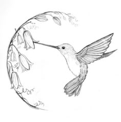 a pencil drawing of a hummingbird flying in front of a circular object with flowers on it