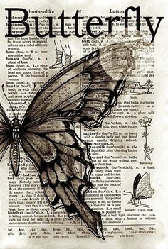 a drawing of a butterfly on an old book page