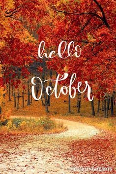 fall quote. Golden leaves in trees. Hello October, Autumn Scenes, Coloring Book For Adults