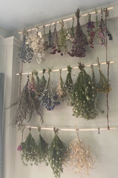 dried flowers hanging on a wall in a room