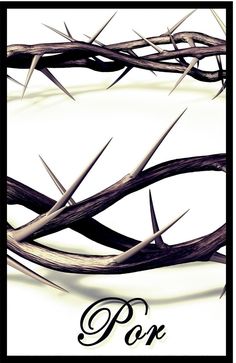 the crown of thorns has been placed on top of each other, and is surrounded by barbed wire