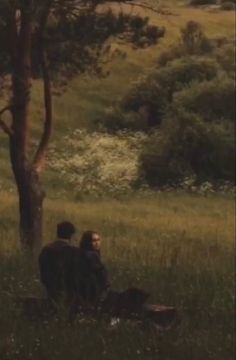 two people are sitting under a tree in the middle of an open field with grass and trees