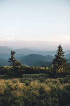 the mountains are in the distance with trees and grass on each side, as well as some bushes