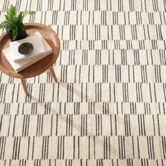 a table with a potted plant on top of it in front of a rug