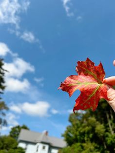 a person holding up a red leaf in front of a blue sky with white clouds