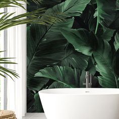 a bath tub sitting next to a large green plant