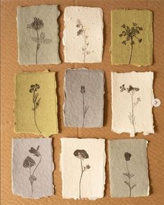 nine pressed flowers are arranged in squares on a piece of brown paper with black and white ink