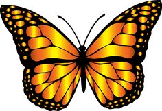 a yellow butterfly with black spots on it's wings, transparent background png