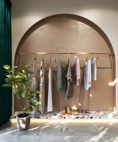 a room with clothes hanging on the wall and a potted plant next to it