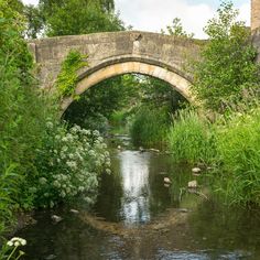 an arched stone bridge over a small river