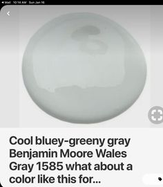 an image of a white ball with text on it that reads cool blue - grey gray benjamin moore wales gray 156 what about a color like for