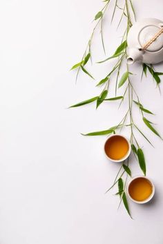 three cups of tea with green leaves on the side