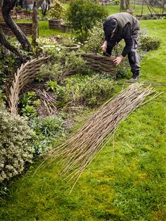 a man is bending over to pick up some grass from the ground in his garden