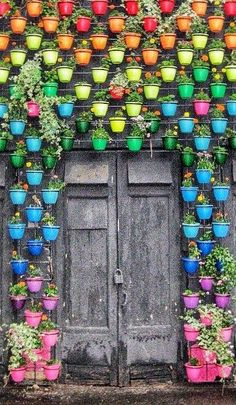 an artisticly decorated wall with many potted plants on it's sides and doors