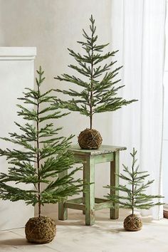 three small pine trees sitting next to each other on top of a wooden table in front of a window