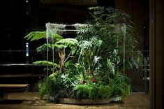 an indoor planter filled with lots of green plants