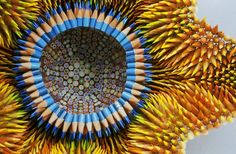 a close up view of some colored pencils in the shape of a sunflower