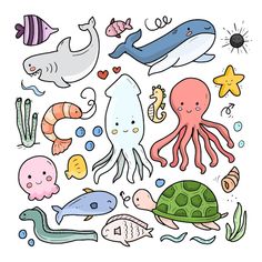 an image of sea animals and fish