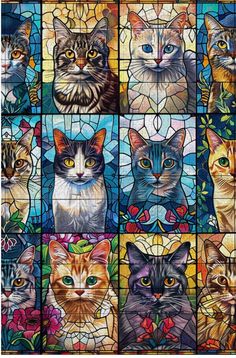 many different colored cats are depicted in this stained glass window paneled wall art piece