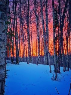 the sun is setting behind some trees in the snow