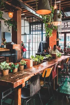 people sitting at tables in a restaurant with potted plants hanging from the ceiling and windows