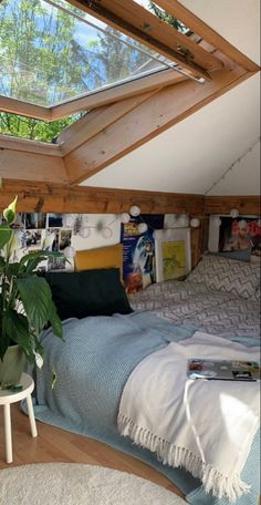 a bedroom with a skylight above the bed and plants on the table in front of it