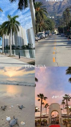 there are three different pictures that show the same beach and palm trees in front of them