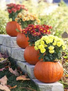 some pumpkins are sitting in the grass