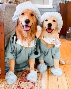 two dogs dressed up as doctors sitting on the floor