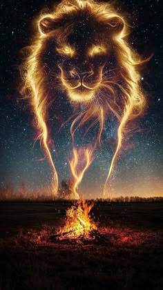 a lion is standing in front of a campfire with its eyes open and glowing at night