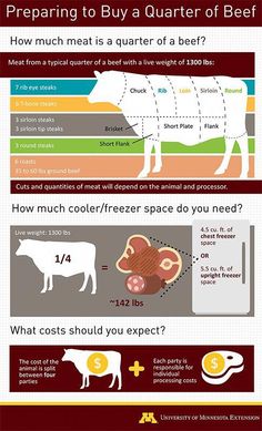 an info poster showing different types of meat